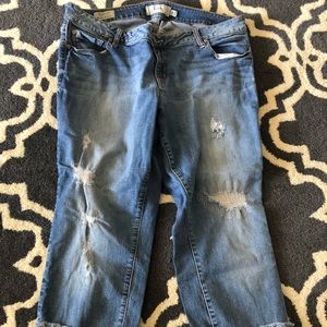 TORRID BOYFRIEND JEANS